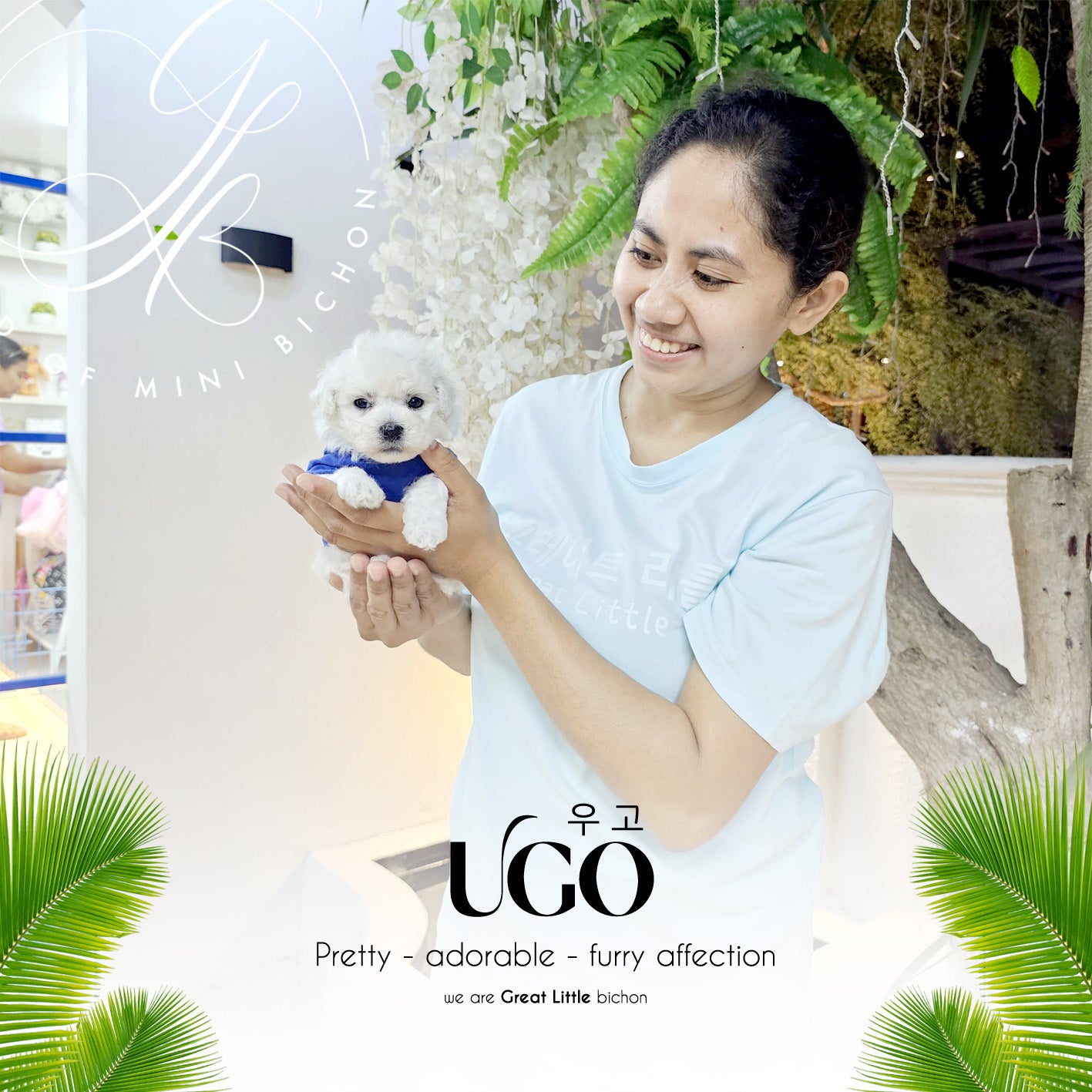 Ugo