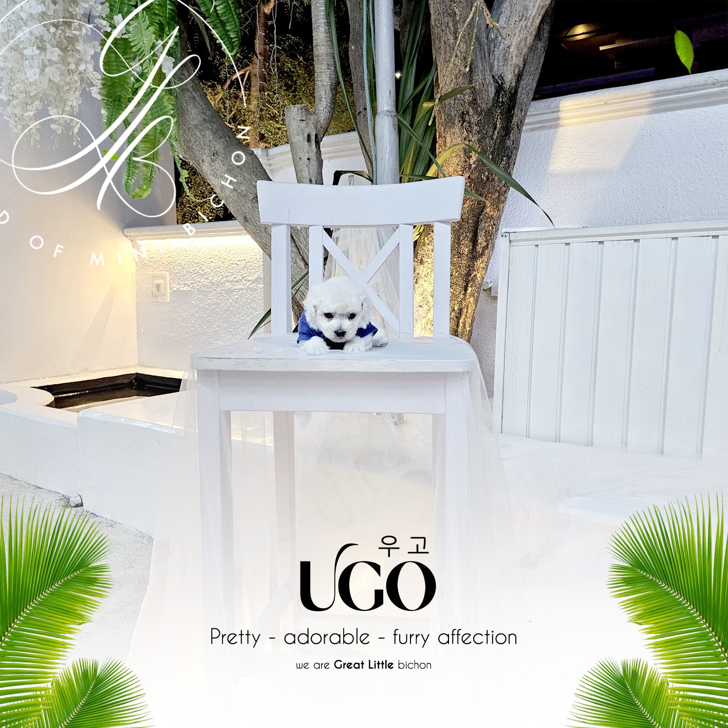 Ugo