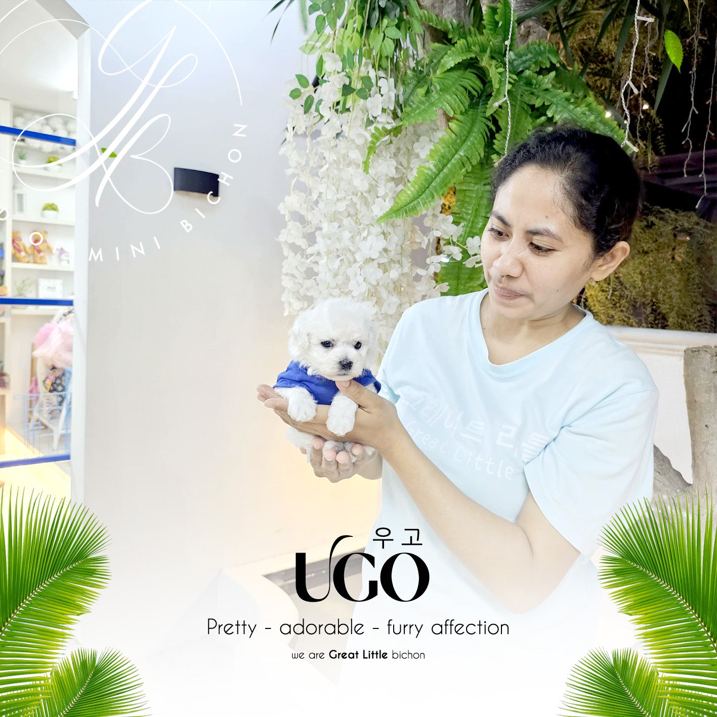 Ugo