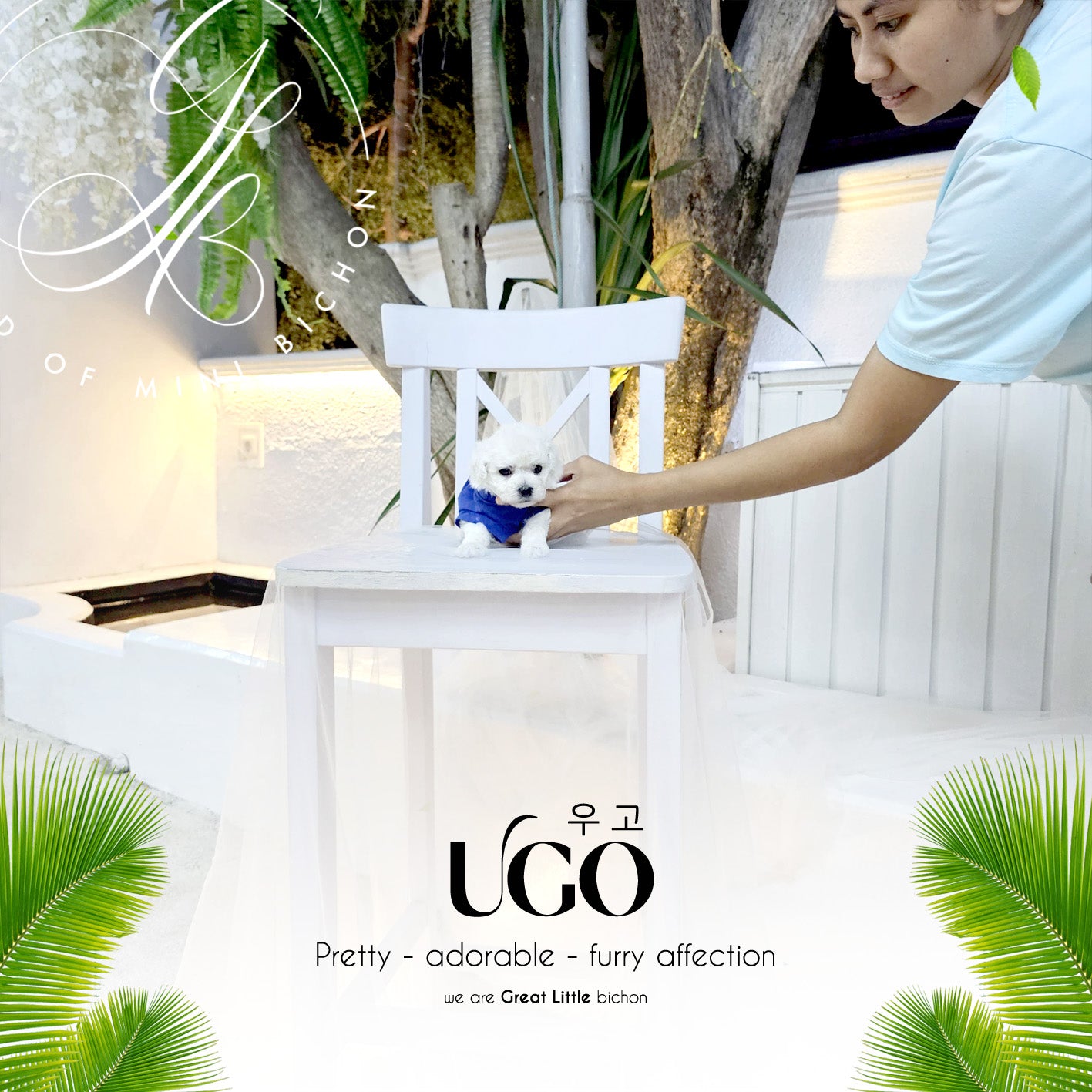 Ugo