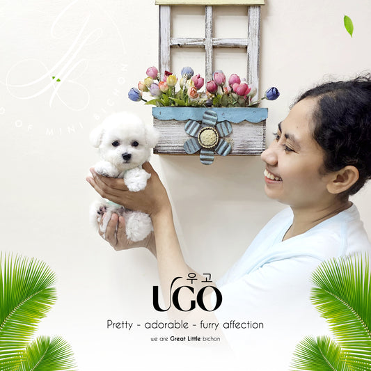 Ugo